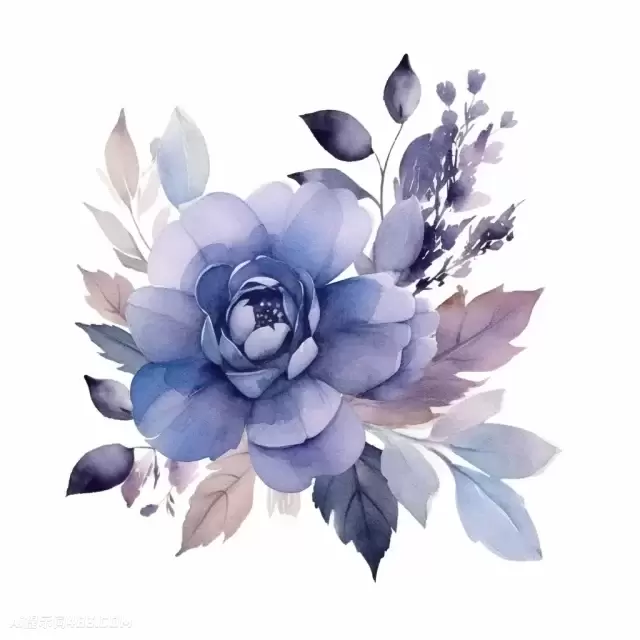 水彩设计蓝色花朵和叶子在深紫罗兰色和浅灰色风格