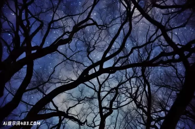 树枝上反射的夜空: 一种自然主义的象征主义