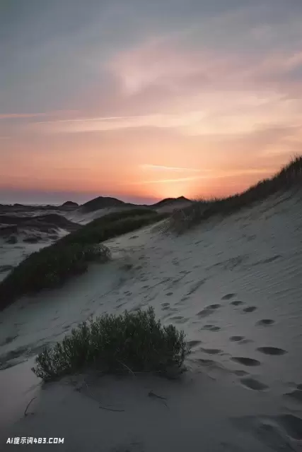 在沙丘上的海边一个五颜六色的日落