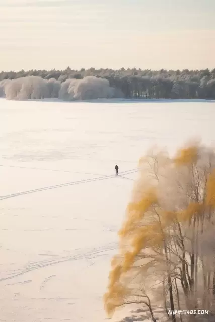 滑过白雪皑皑的湖面的人